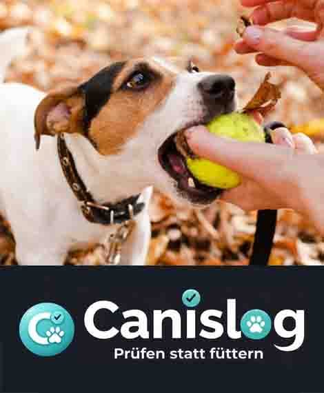 Canislog Team und Mission für gesunde Hundeernährung Titel: Über Canislog - Experten für Hundefutter