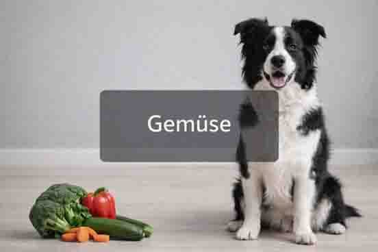 Gemüse für Hunde bei Canislog