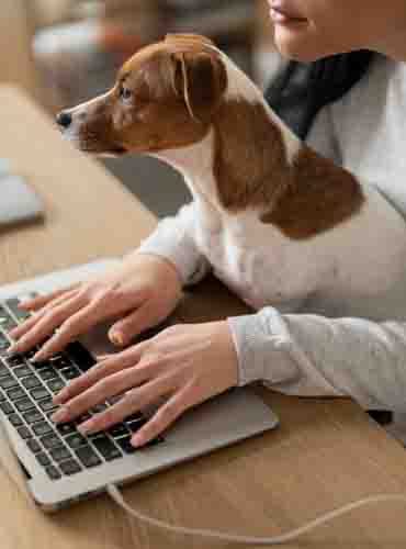 Analysen & Tools: Präziser Futterrechner für Hunde mit Portions-Richtwerten nach Rasse und Gewicht