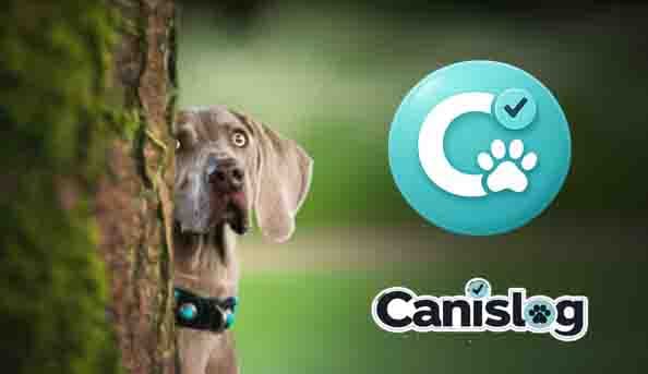 canislog